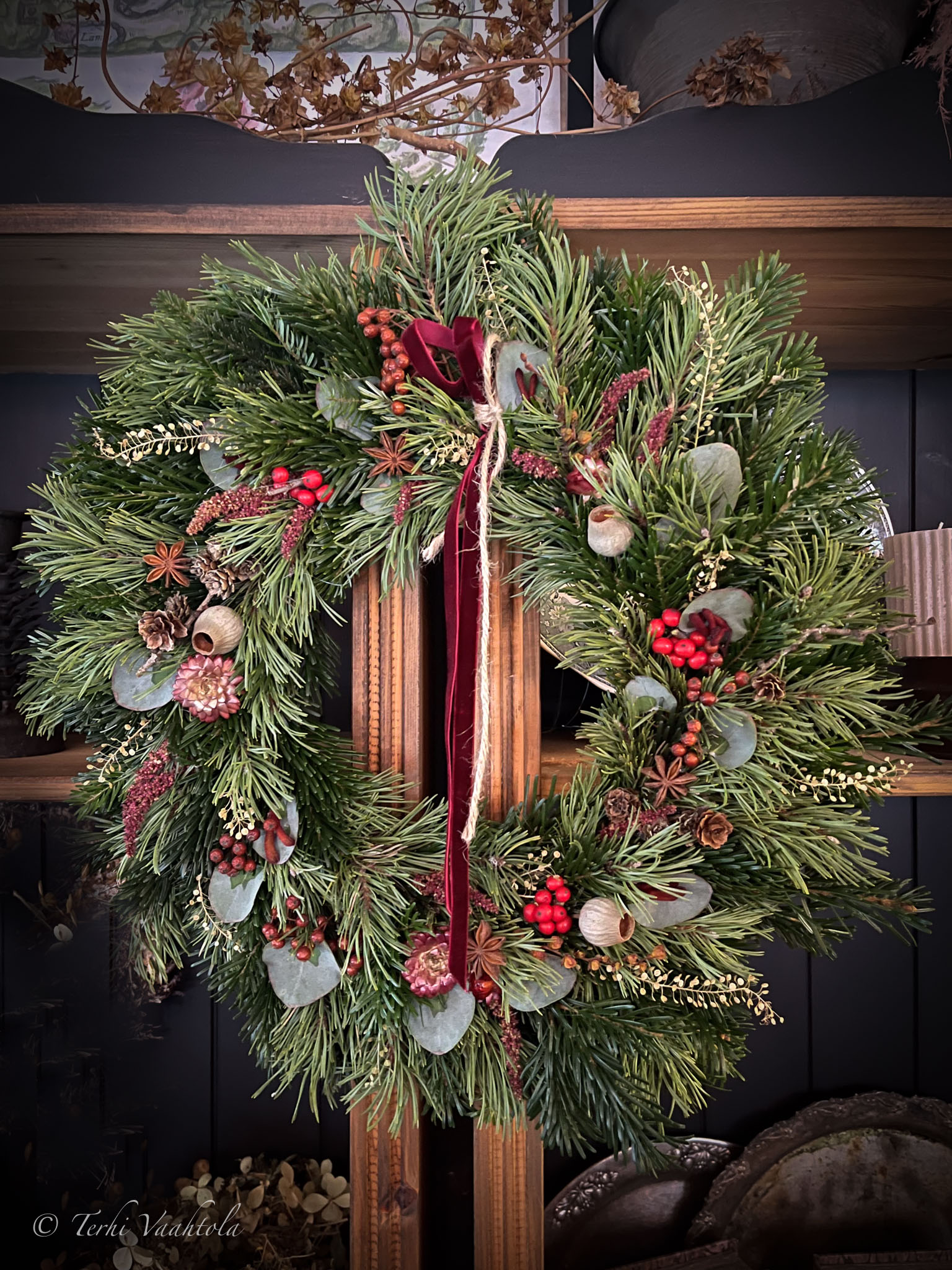 havukranssikurssi havukranssikurssi