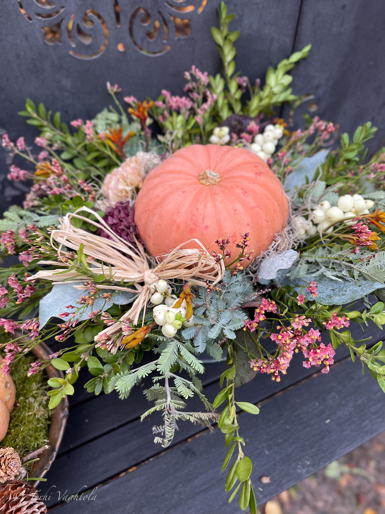 kurpitsa-asetelma kurpitsa-asetelma