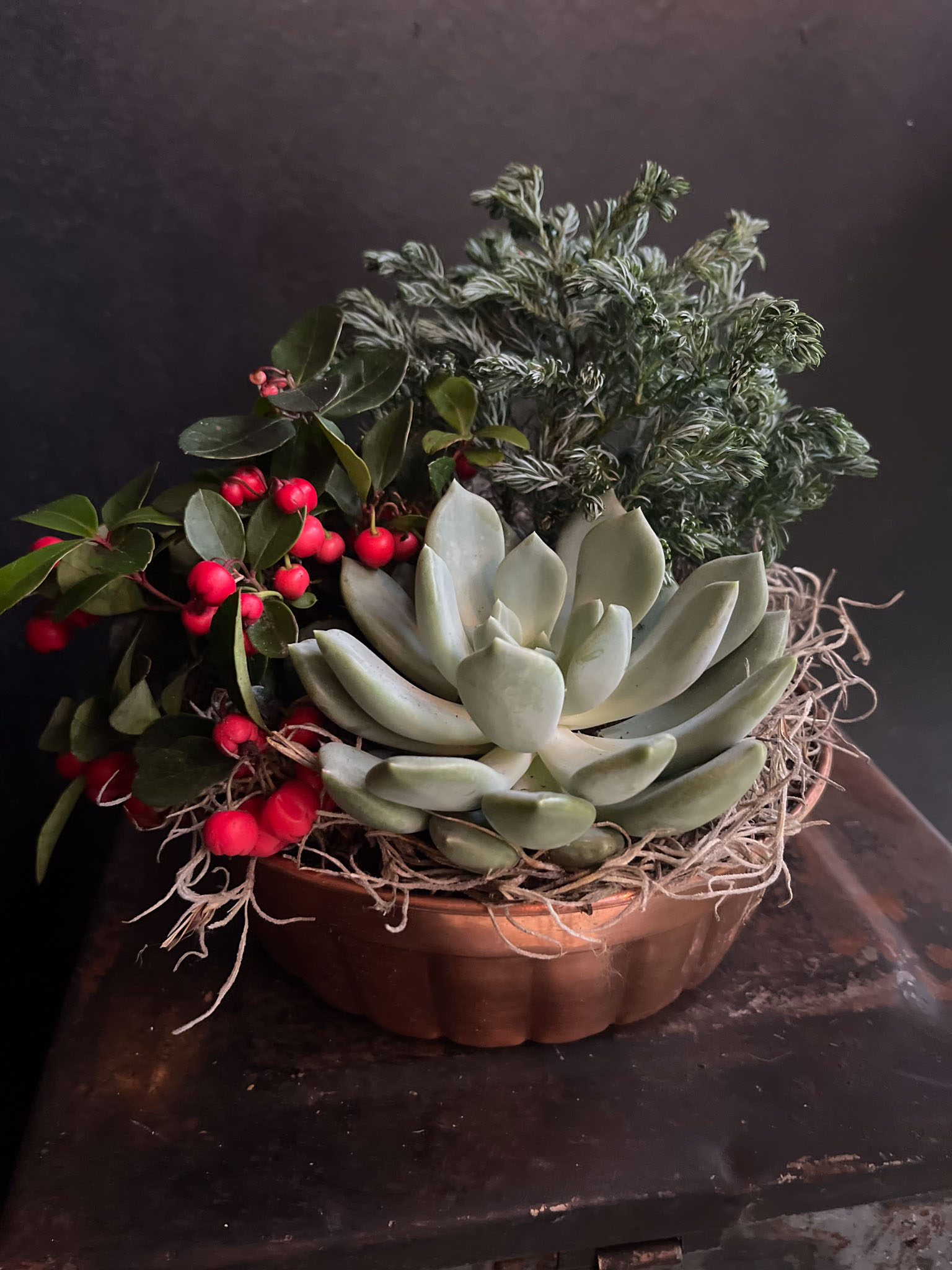 istutus kuparivuoassa