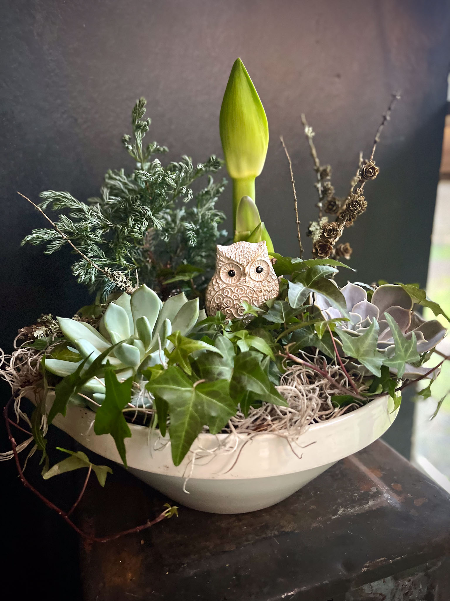 jouluistutus isossa vadissa