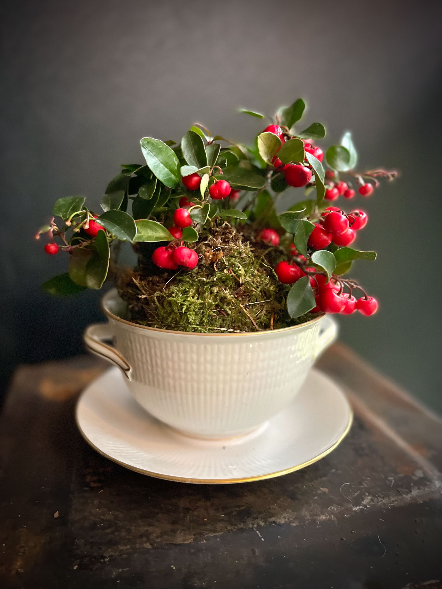 lamosalal posliiniastiassa