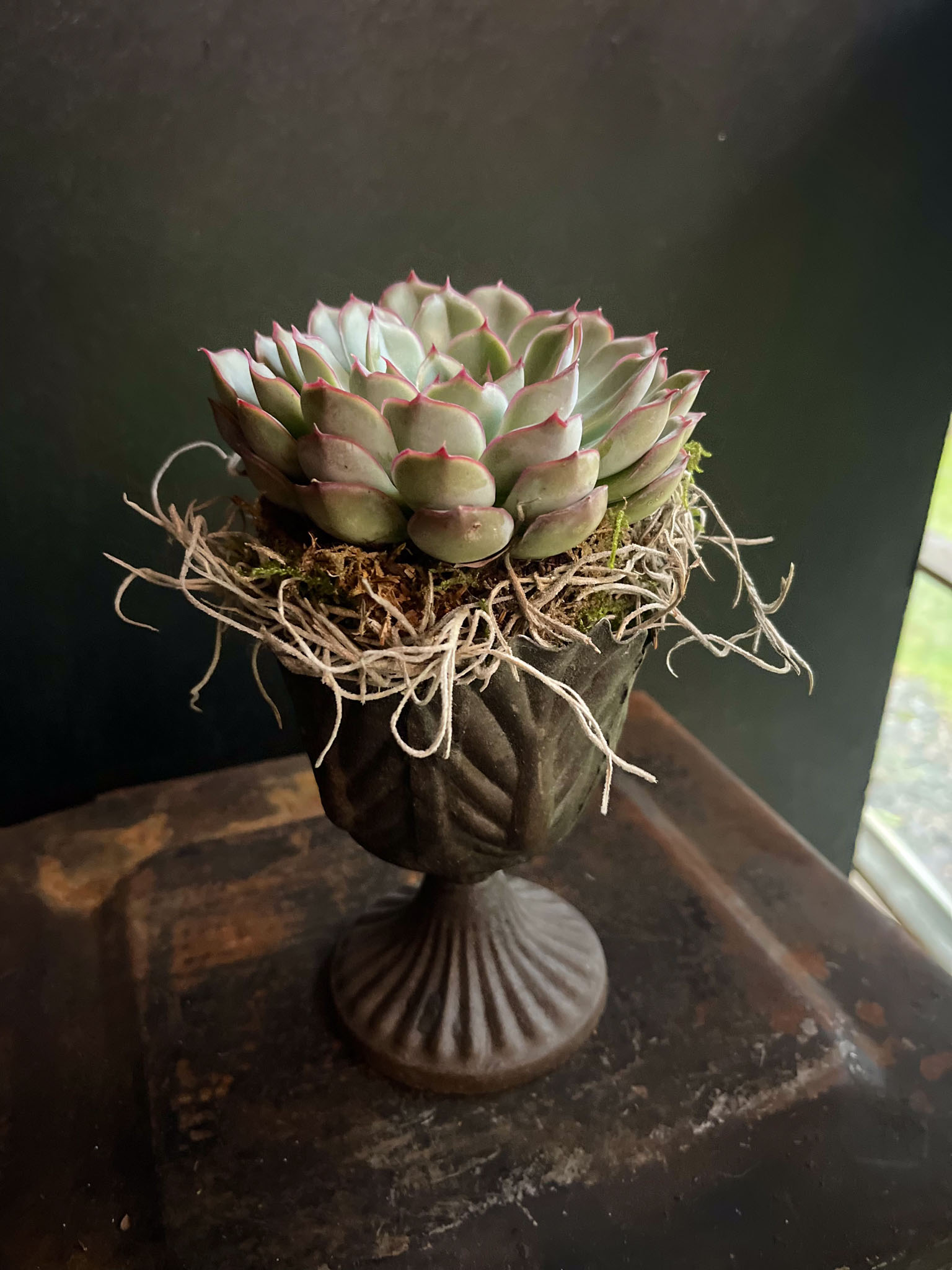 mehiruusuke lehtimaljassa