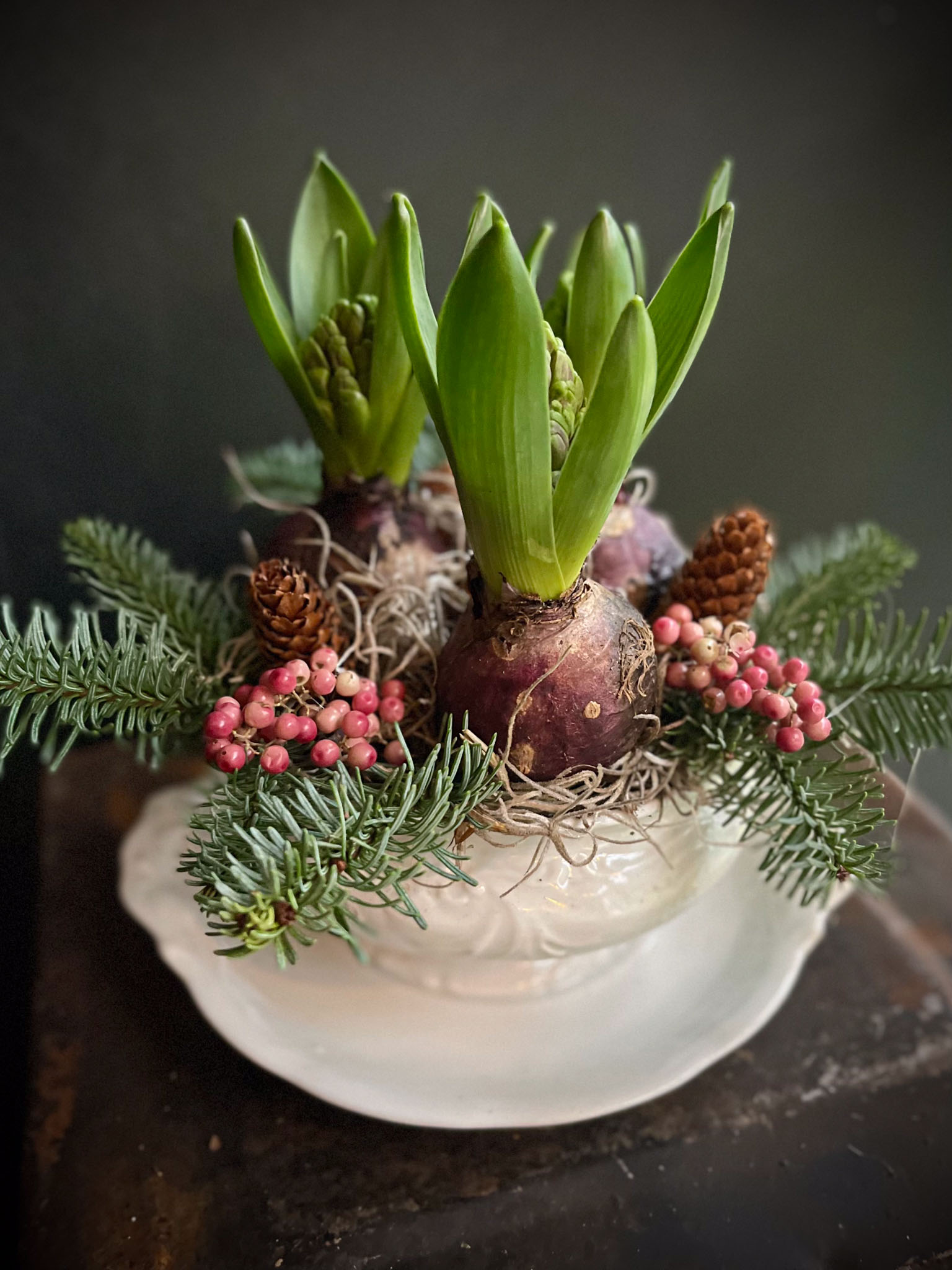 hyasintit posliiniastiassa