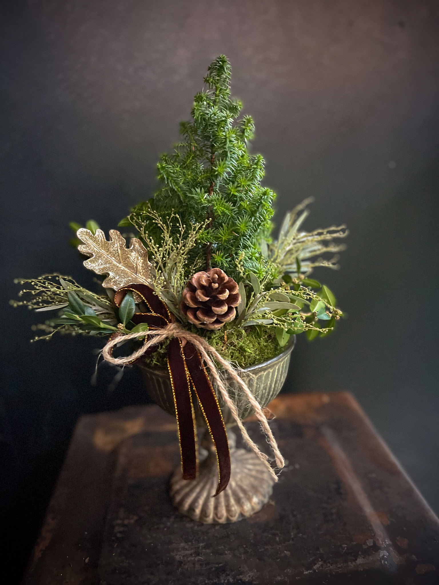 sypressi kultamaljassa