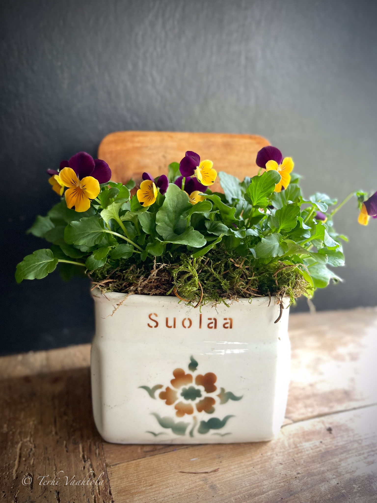 orvokit suolapurkissa